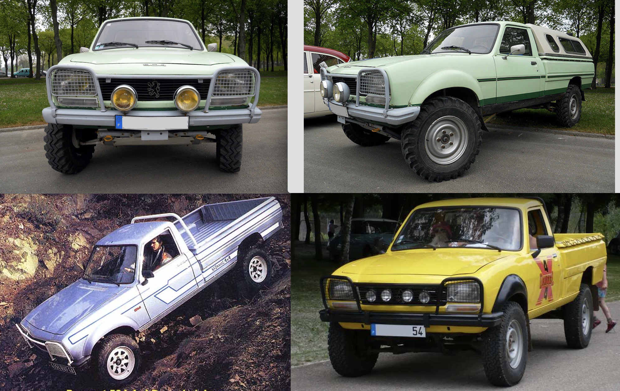 Pare-buffle Dangel 2