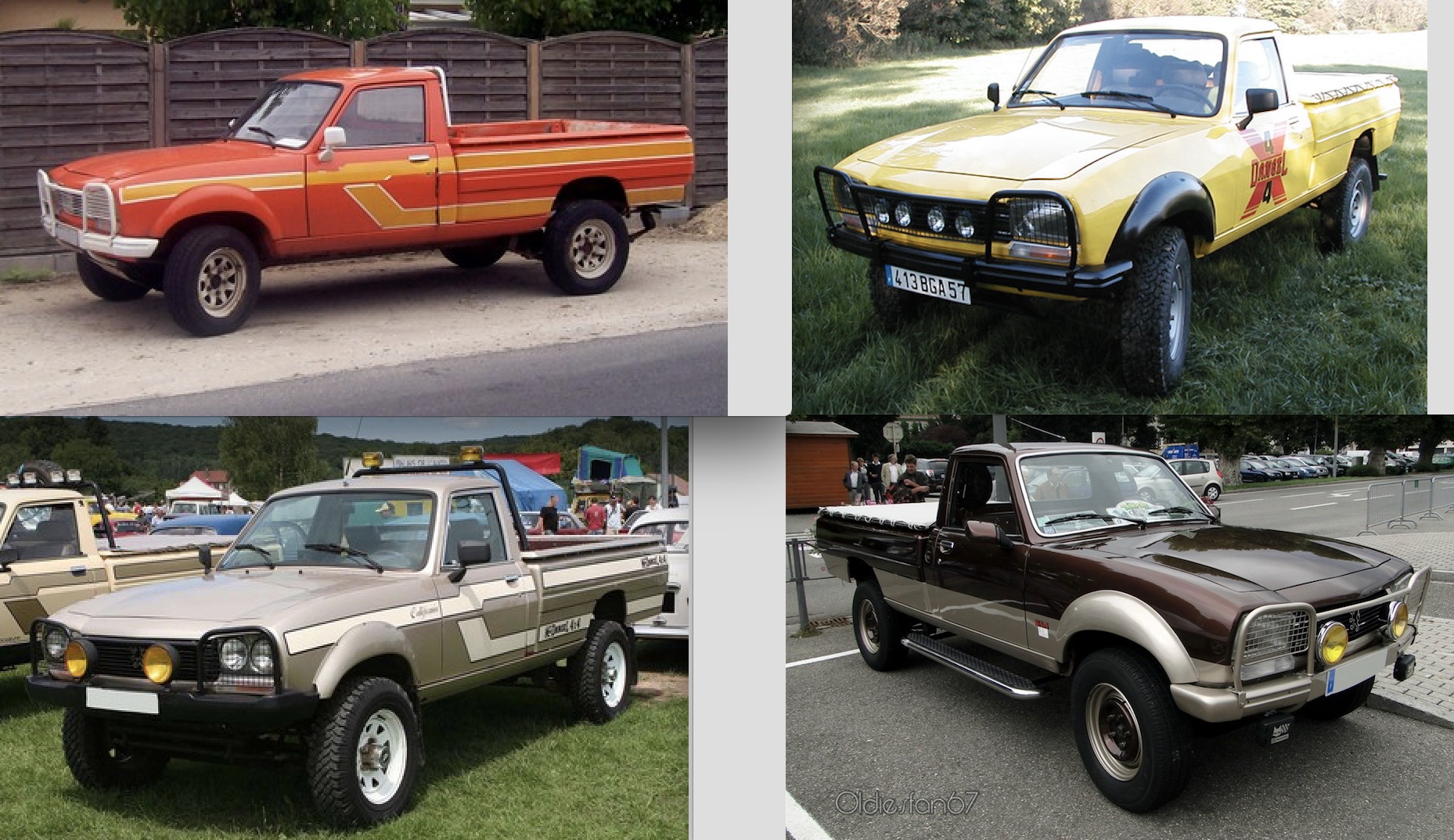 Pare-buffle Dangel 3